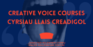 Creative Voices Course @ the Welsh Millenium Centre